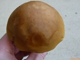 Boletus nobilis image