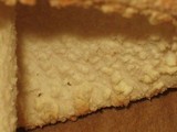 Amanita daucipes image