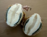 Phallus hadriani image