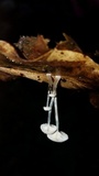 Mycena guzmanii image