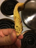 Suillus spraguei image