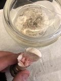 Amanita mutabilis image