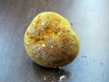 Xerocomus morrisii image