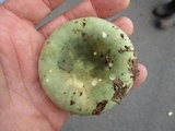 Russula variata image