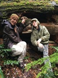 Fomitopsis officinalis image