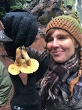 Suillus lakei image