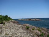 Lobothallia alphoplaca image