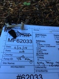 Clitocybe fragrans image