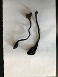 Trichoglossum hirsutum image