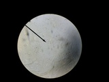 Jafnea semitosta image