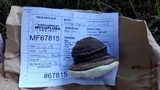 Fomitopsis ochracea image