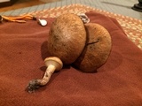 Suillus cothurnatus image