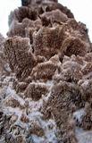Bjerkandera adusta image
