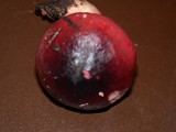 Russula queletii image