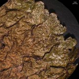 Melanelixia subaurifera image