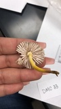 Mycena inclinata image