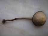 Panaeolus subbalteatus image