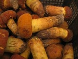 Rugiboletus extremiorientalis image