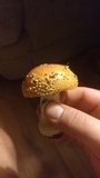 Amanita persicina image