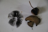 Parasola conopilea image