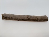 Peniophora cinerea image