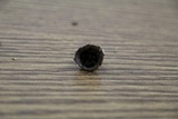 Cyathus olla image