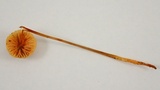 Mycena aurantiomarginata image