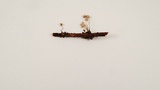 Mycena filopes image