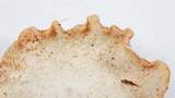 Osteina obducta image