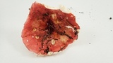 Russula californiensis image