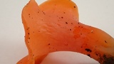 Guepinia helvelloides image