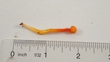 Hygrocybe miniata image