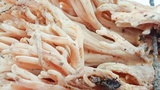 Ramaria stuntzii image