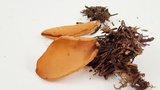 Otidea leporina image