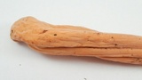 Clavariadelphus occidentalis image