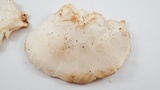 Pleurotus dryinus image