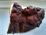 Ganoderma sessile image