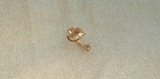 Cystodermella granulosa image