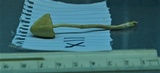Galerina semilanceata image
