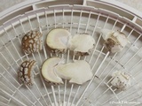 Amanita pantherinoides image