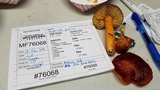 Hygrocybe punicea image