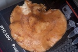 Polyporus tuberaster image