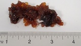 Phaeotremella frondosa image