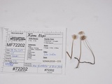 Mycena filopes image
