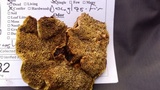 Phellinus gilbertsonii image