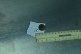 Panaeolus olivaceus image