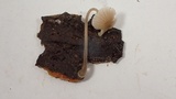 Mycena alcaliniformis image