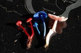Hygrocybe firma image