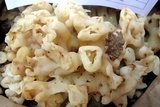 Sebacina sparassoidea image