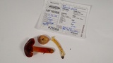Hygrocybe punicea image
